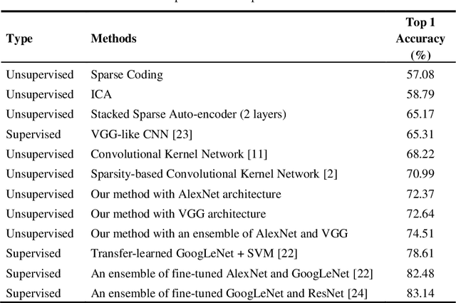 Figure 2 for Unsupervised Feature Learning with K-means and An Ensemble of Deep Convolutional Neural Networks for Medical Image Classification