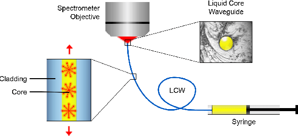 Figure 3 for Optimized Preprocessing and Machine Learning for Quantitative Raman Spectroscopy in Biology