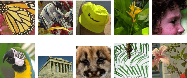 Figure 4 for Geometry-Aware Neighborhood Search for Learning Local Models for Image Reconstruction