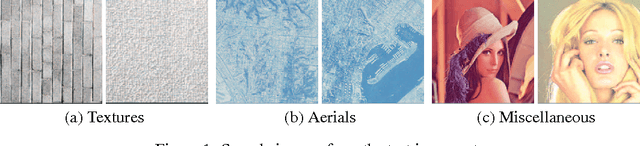 Figure 1 for Boltzmann Machines and Denoising Autoencoders for Image Denoising