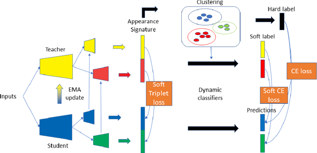 Figure 3 for Enhancing Diversity in Teacher-Student Networks via Asymmetric branches for Unsupervised Person Re-identification