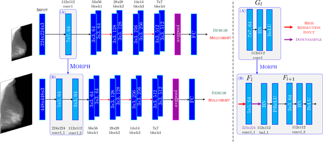 Figure 2 for Beyond Fine-tuning: Classifying High Resolution Mammograms using Function-Preserving Transformations