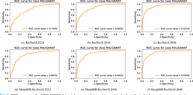 Figure 3 for Beyond Fine-tuning: Classifying High Resolution Mammograms using Function-Preserving Transformations