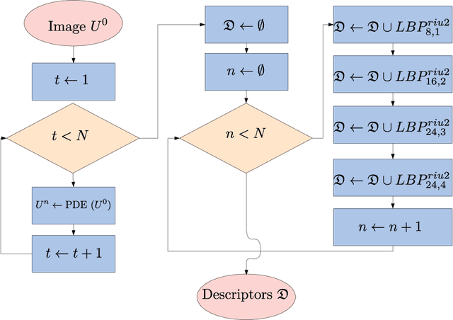 Figure 1 for Texture image classification based on a pseudo-parabolic diffusion model