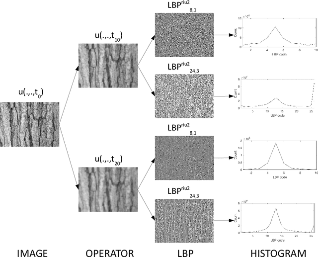 Figure 2 for Texture image classification based on a pseudo-parabolic diffusion model