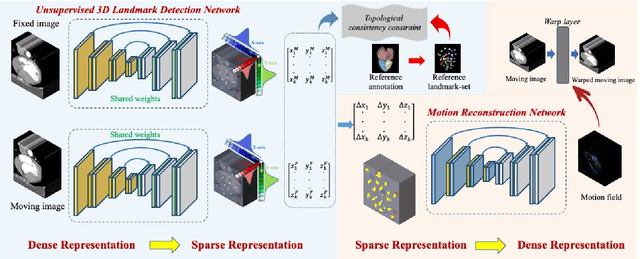 Figure 3 for Unsupervised Landmark Detection Based Spatiotemporal Motion Estimation for 4D Dynamic Medical Images