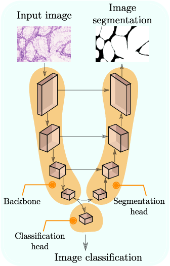 Figure 4 for Deep Active Learning for Joint Classification & Segmentation with Weak Annotator