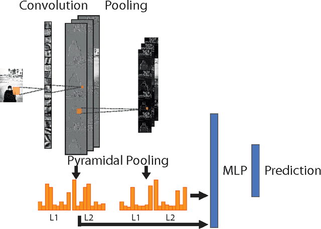Figure 3 for Object Recognition with Multi-Scale Pyramidal Pooling Networks