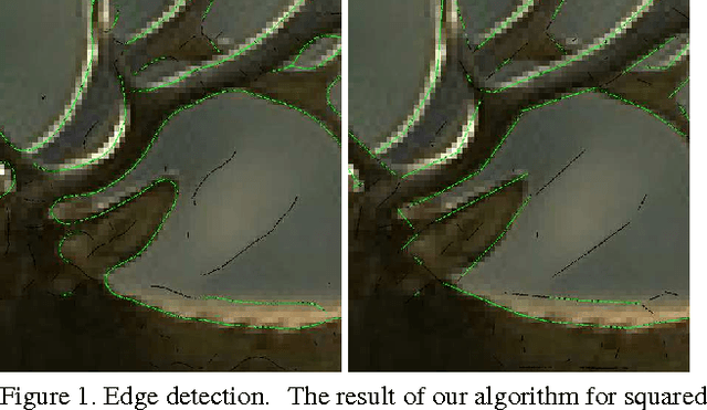 Figure 1 for Thin Structure Estimation with Curvature Regularization