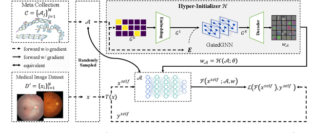 Figure 1 for One Hyper-Initializer for All Network Architectures in Medical Image Analysis
