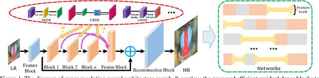 Figure 1 for Efficient Residual Dense Block Search for Image Super-Resolution