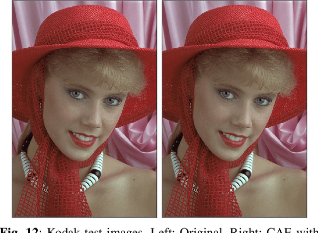 Figure 4 for Learning sparse auto-encoders for green AI image coding