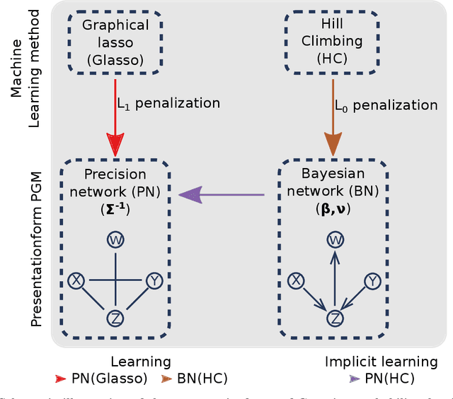 Figure 1 for Learning complex dependency structure of gene regulatory networks from high dimensional micro-array data with Gaussian Bayesian networks