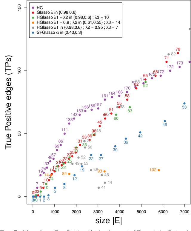 Figure 2 for Learning complex dependency structure of gene regulatory networks from high dimensional micro-array data with Gaussian Bayesian networks