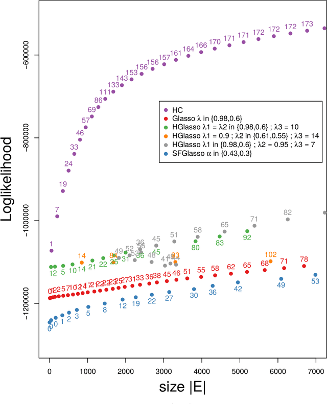 Figure 3 for Learning complex dependency structure of gene regulatory networks from high dimensional micro-array data with Gaussian Bayesian networks