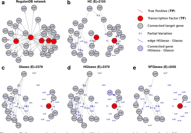 Figure 4 for Learning complex dependency structure of gene regulatory networks from high dimensional micro-array data with Gaussian Bayesian networks