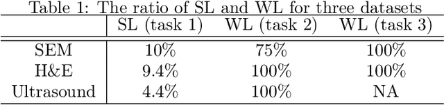 Figure 2 for Multi-task deep learning for image segmentation using recursive approximation tasks