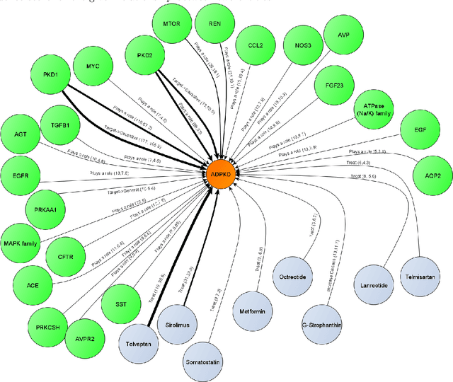 Figure 4 for Relationship extraction for knowledge graph creation from biomedical literature