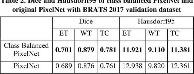 Figure 4 for Class Balanced PixelNet for Neurological Image Segmentation