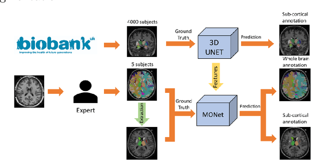 Figure 1 for Transfer Learning from Partial Annotations for Whole Brain Segmentation