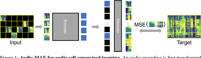Figure 1 for Masked Autoencoders that Listen