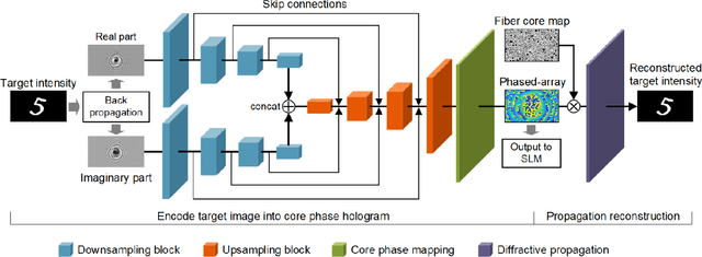 Figure 1 for Lensless multicore-fiber microendoscope for real-time tailored light field generation with phase encoder neural network (CoreNet)