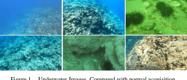 Figure 1 for UTD-Yolov5: A Real-time Underwater Targets Detection Method based on Attention Improved YOLOv5