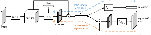 Figure 1 for Learning Transferrable Knowledge for Semantic Segmentation with Deep Convolutional Neural Network