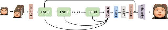 Figure 3 for Blueprint Separable Residual Network for Efficient Image Super-Resolution