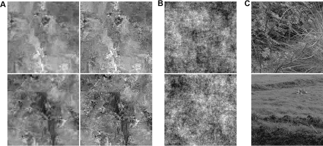 Figure 4 for Mixtures of conditional Gaussian scale mixtures applied to multiscale image representations