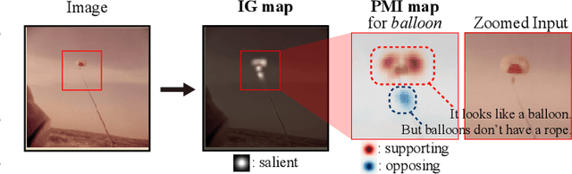 Figure 1 for Information-Theoretic Visual Explanation for Black-Box Classifiers