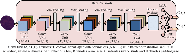 Figure 4 for SDCT-AuxNet$^θ$: DCT Augmented Stain Deconvolutional CNN with Auxiliary Classifier for Cancer Diagnosis