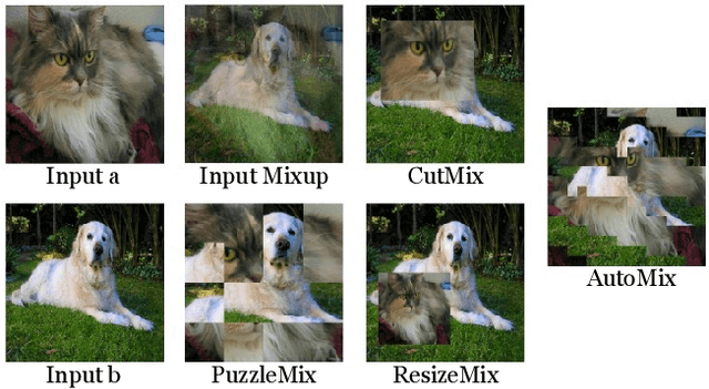 Figure 1 for AutoMix: Unveiling the Power of Mixup