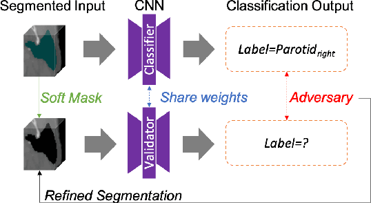 Figure 1 for Multi-organ Segmentation Network with Adversarial Performance Validator