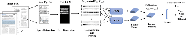 Figure 3 for Learning to identify image manipulations in scientific publications