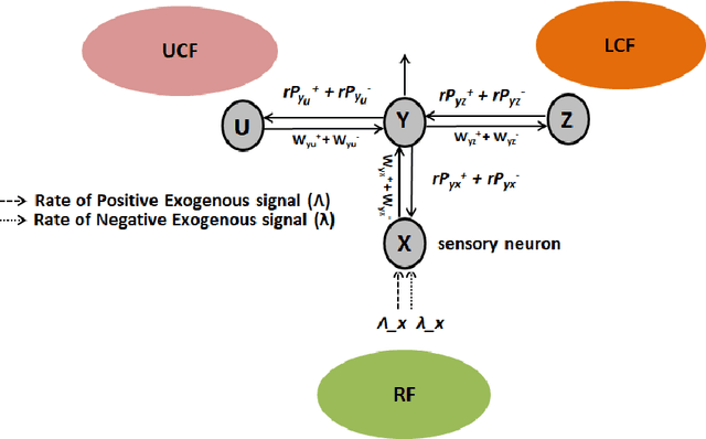 Figure 3 for Role of Awareness and Universal Context in a Spiking Conscious Neural Network (SCNN): A New Perspective and Future Directions