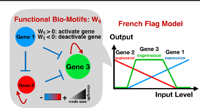 Figure 1 for Learning Functions in Large Networks requires Modularity and produces Multi-Agent Dynamics