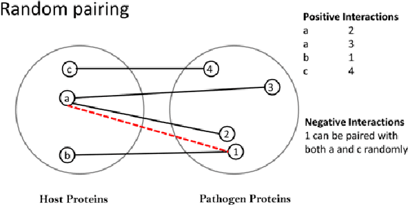 Figure 2 for Training large margin host-pathogen protein-protein interaction predictors