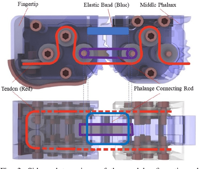 Figure 3 for BRL/Pisa/IIT SoftHand: A Low-cost, 3D-Printed, Underactuated, Tendon-Driven Hand with Soft and Adaptive Synergies