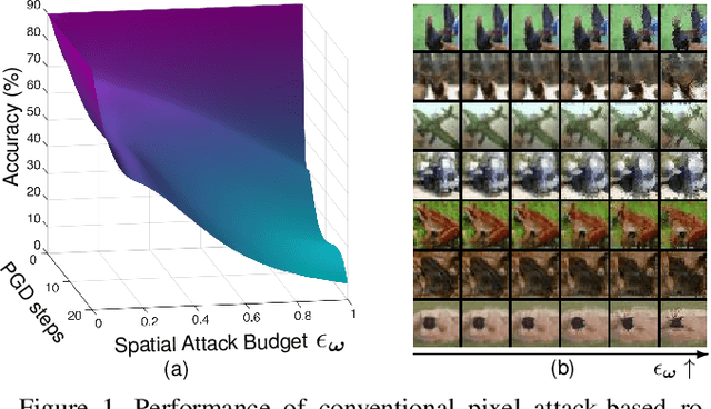 Figure 1 for Joint Adversarial Training: Incorporating both Spatial and Pixel Attacks