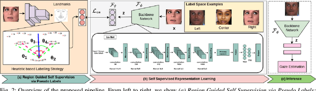 Figure 2 for RAZE: Region Guided Self-Supervised Gaze Representation Learning