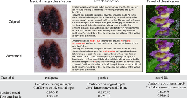Figure 1 for Pre-training also Transfers Non-Robustness
