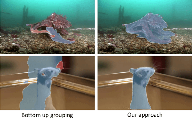 Figure 1 for Towards Segmenting Everything That Moves