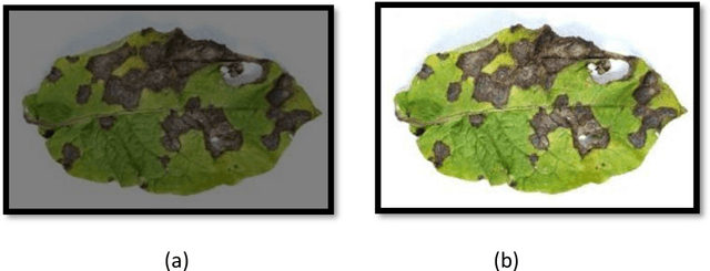 Figure 2 for High Accurate Unhealthy Leaf Detection