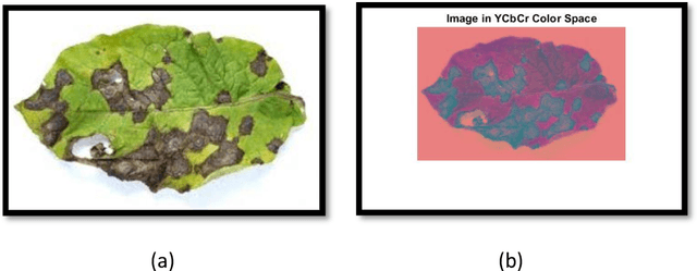 Figure 3 for High Accurate Unhealthy Leaf Detection