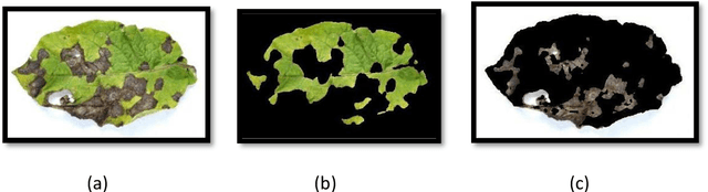 Figure 4 for High Accurate Unhealthy Leaf Detection