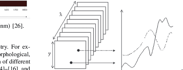 Figure 4 for A Guide to Employ Hyperspectral Imaging for Assessing Wheat Quality at Different Stages of Supply Chain in Australia: A Review