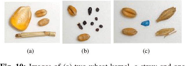 Figure 2 for A Guide to Employ Hyperspectral Imaging for Assessing Wheat Quality at Different Stages of Supply Chain in Australia: A Review