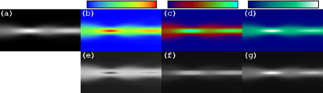 Figure 1 for Design of false color palettes for grayscale reproduction