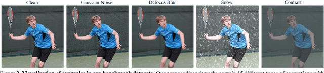 Figure 2 for When Human Pose Estimation Meets Robustness: Adversarial Algorithms and Benchmarks